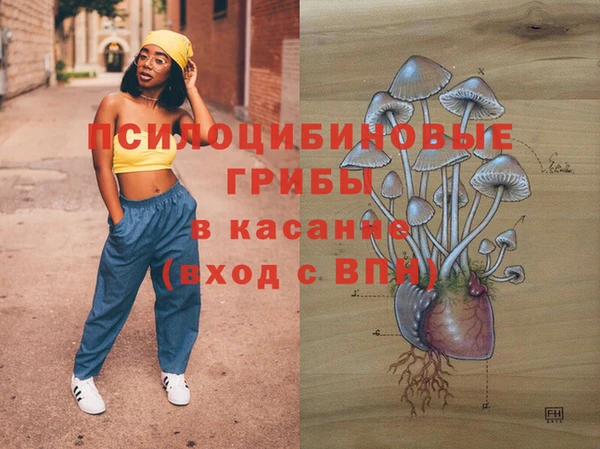 трава Алзамай