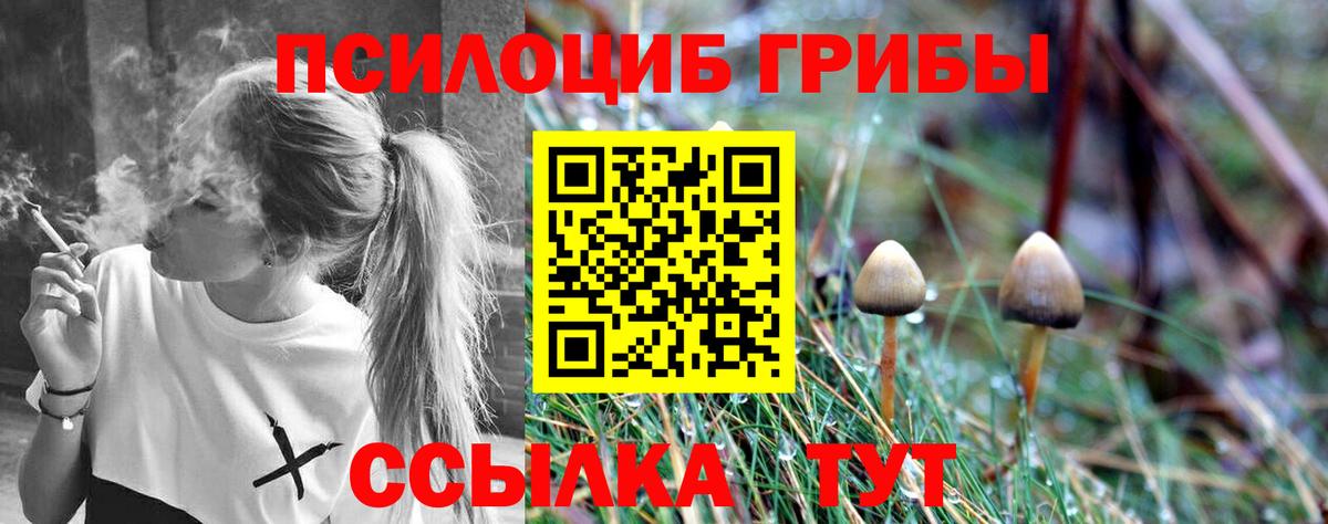 Галлюциногенные грибы GOLDEN TEACHER  Вход с VPN  Красноярск 