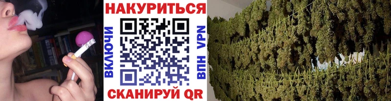 Бошки марихуана VHQ  где можно купить наркотик  Красноярск 